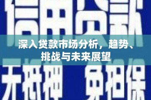 乐安深入贷款市场分析，趋势、挑战与未来展望
