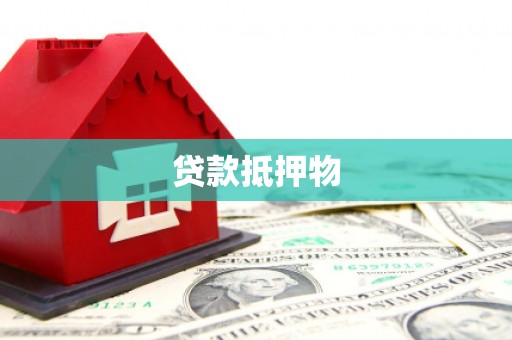 波密贷款抵押物
