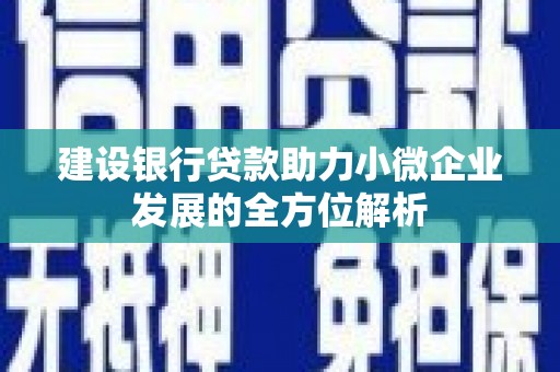 茂名建设银行贷款助力小微企业发展的全方位解析