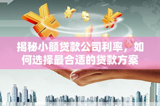 汶上揭秘小额贷款公司利率，如何选择最合适的贷款方案