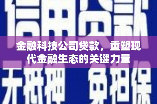 澄城金融科技公司贷款，重塑现代金融生态的关键力量