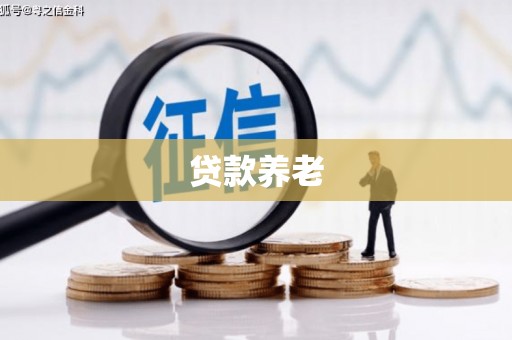 比如贷款养老