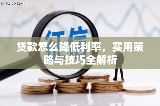 扶绥贷款怎么降低利率，实用策略与技巧全解析