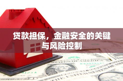 开县贷款担保，金融安全的关键与风险控制