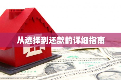 宣城从选择到还款的详细指南