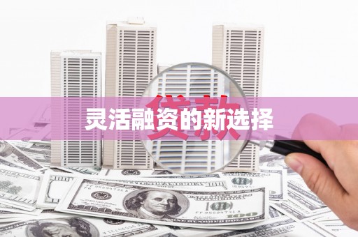 罗山灵活融资的新选择