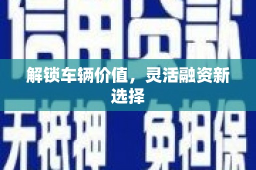 蒙阴解锁车辆价值，灵活融资新选择