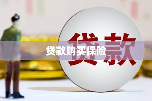 西盟贷款购买保险