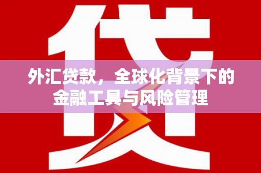 花都外汇贷款，全球化背景下的金融工具与风险管理