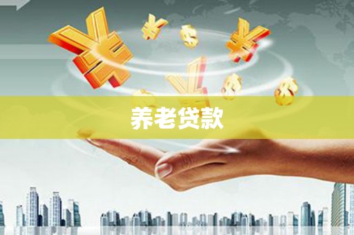 静海养老贷款