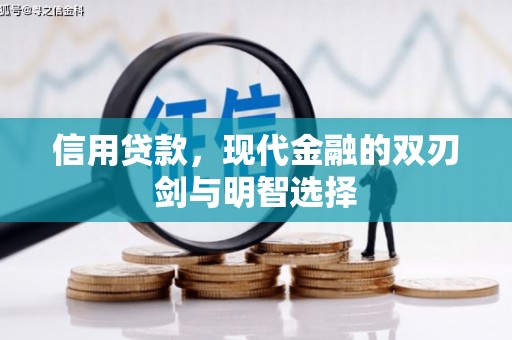 东乡族信用贷款，现代金融的双刃剑与明智选择